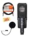 Audio-Technica AT4040 Cardioid Condenser Microphone Bundle with Pop Filter, XLR Cable, and Austin Bazaar Polishing Cloth