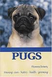 Pugs (KW Dog)