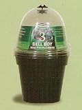 HAXNICKS 4 VICTORIAN BELL BOYS - 24 PACK