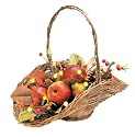 GKI Bethlehem Lighting 16-Inch 20 LED Light Magnolia Twig Rattan Basket, Battery Operated
