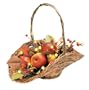 GKI Bethlehem Lighting 16-Inch 20 LED Light Magnolia Twig Rattan Basket, Battery Operated