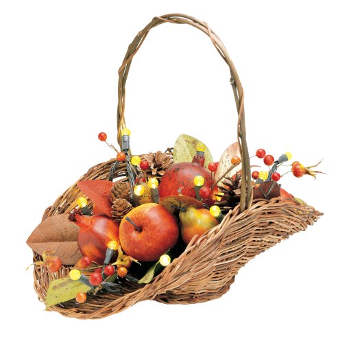 GKI Bethlehem Lighting 16-Inch 20 LED Light Magnolia Twig Rattan Basket, Battery Operated