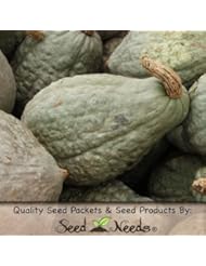 Lawn & Patio: 20 Vegetable Seeds, Winter Squash "Green Hubbard" (Cucurbita pepo) Seeds by Seed Needs - Seed Needs