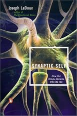 The Synaptic Self