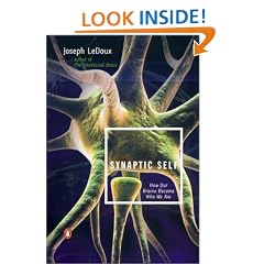 Synaptic Self: How Our Brains Become Who We Are