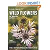 Field Guide to Wild Flowers of South Africa