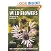 Field Guide to Wild Flowers of South Africa