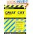 GMAT CAT (Computer-Adaptive Graduate Management Admission Test) (Cliffs Test Prep)