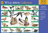 Wild Birds Collection 1 (AA Jigsaw Collection)