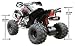 Large Frame-ATV150L-150CC,Raptor Style,Chain Driven, 1 Speed W/ Reverse