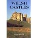 Welsh Castles: A Guide by Counties