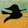  Black Bird