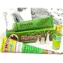 Beachcombers! Pre Mixed Paste Henna Tattoo Sampler Pack Starter Kit, Great for Beginners