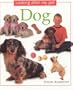 Dog: Looking After my Pet Series