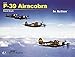 P-39 Airacobra In Action