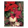 Springbok Poinsettias and Pine Cones 500 Piece Jigsaw Puzzle