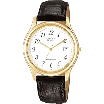 Citizen Mens Watch BI0732-01A