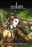 Twilight, fascination volume 1