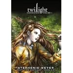 Twilight fascination
