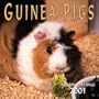 Guinea Pigs 2001 Calendar