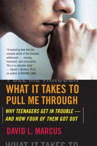 Books: What It Takes To Pull Me Through. Why Teenagers Get in Trouble and How Four of Them Got Out