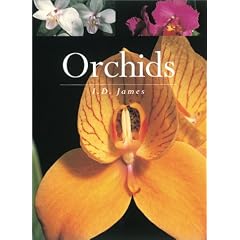Orchids