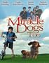 Miracle Dogs Too