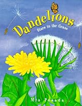 Dandelions