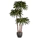 4 5 and 7 ft. Potted Palm Christmas Trees - Classic PVC Needles - Prelit with Warm White LED Bulbs - Vickerman A112871LED