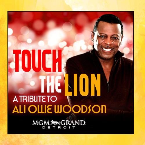 Touch the Lion