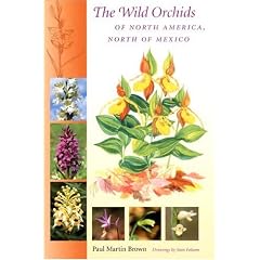 Wild Orchids of North America, North of Mexico
