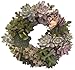 Living Wreath Sphagnum Moss - 11