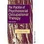 The Practice of Psychosocial Occupational Therapy Third Edition. (Mental Health Nursing & the Community)