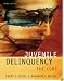 Juvenile Delinquency: The Core