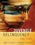 Juvenile Delinquency: The Core
