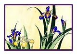 Counted Cross Stitch Chart Irises by Japanese artist Katsushika Hokusai