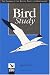 Bird Study