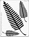 The Stencil Collection Fern Embossing Brass Stencil for Scrapbooking, Card Making, and Paper Crafts.
