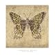 Leopard Butterfly Animals Art Poster Print by Jennifer Brice, 18x18