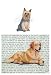 Silky Terrier Glass Cutting Board