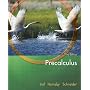 Precalculus (Lial/Hornsby/Schneider Series)