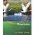 Precalculus (Lial/Hornsby/Schneider Series)
