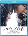 ノルウェイの森（Ｂｌｕ－ｒａｙ　Ｄｉｓｃ）