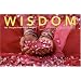 Wisdom: 365 Thoughts from Indian Masters (Offerings for Humanity)