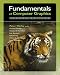 Fundamentals of Computer Graphics, Second Ed.