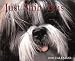 Just Shih Tzus Calendar: 2000