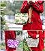 Nsstar Waterproof Picnic Lunch Bag Tote Insulated Cooler Travel Zipper Organizer Box (Cherry)
