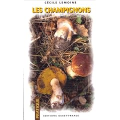 Champignons