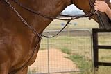 Collegiate Raised Breastplate Running Martingale