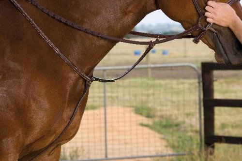 Collegiate Raised Breastplate Running Martingale